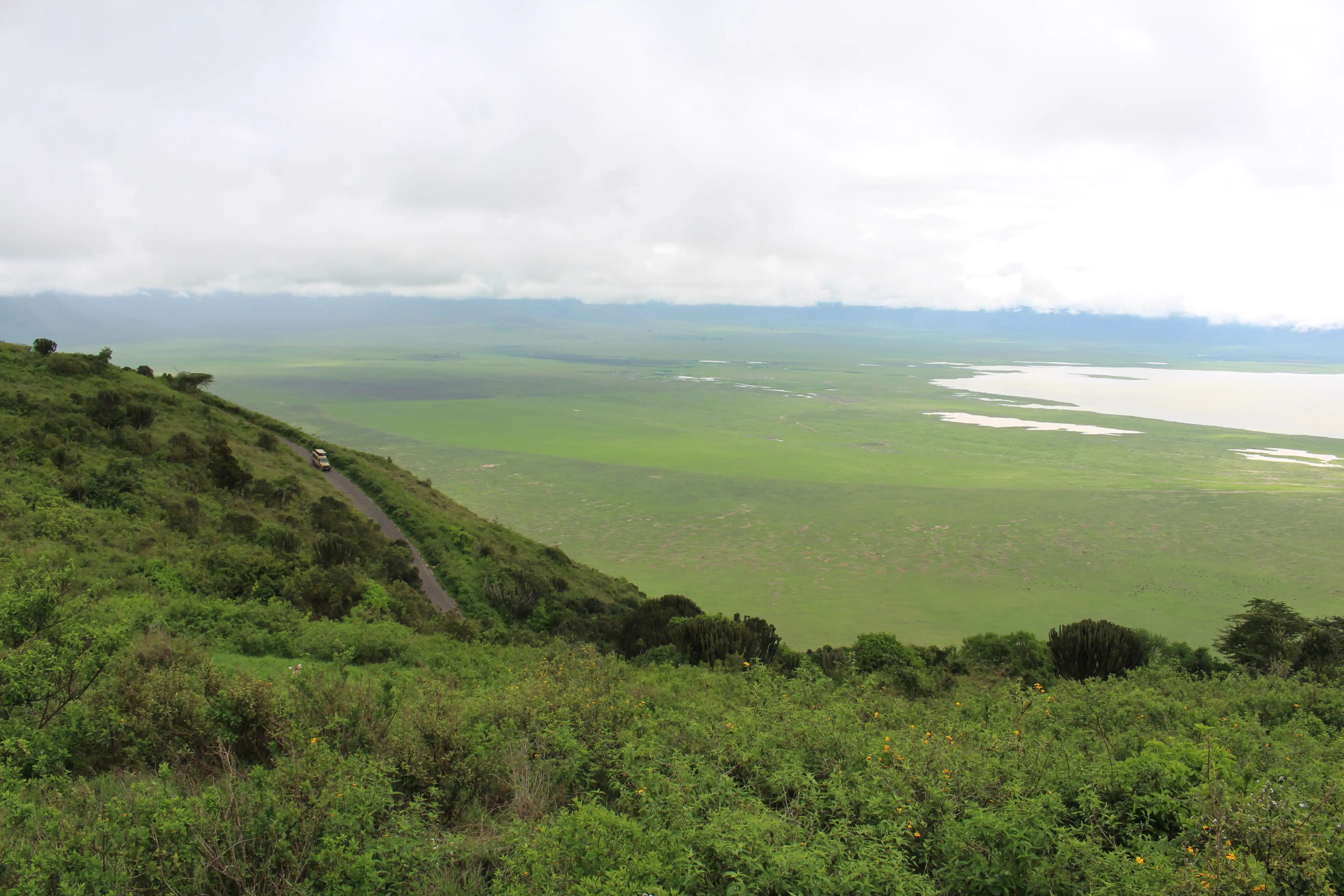 Ngorongoro Crater